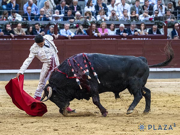 Pit�n derecho