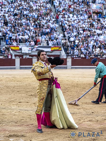 Reconocimiento del respetable