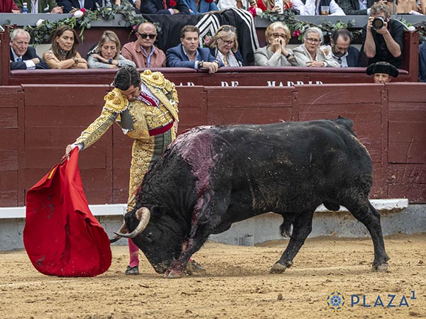 Dominio de las alturas