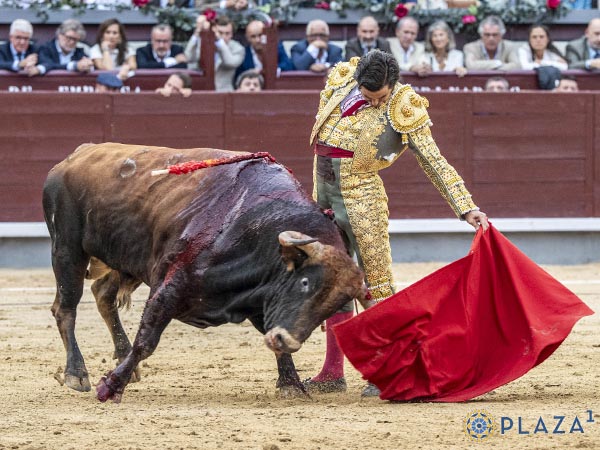 Tirando del casta�o