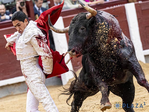 Romana y cuajo