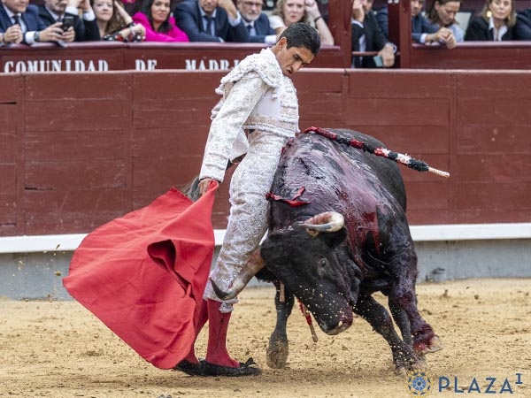 Ce�idos muletazos