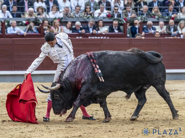 Mando en la muleta