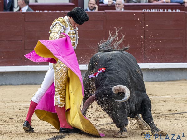 Aar�n, a la ver�nica