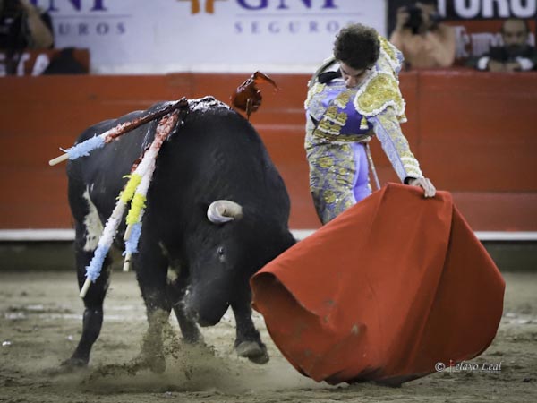 Voluntad y actitud de gustar a la afici�n