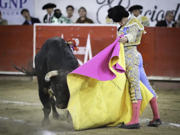 V�ctor, a la ver�nica