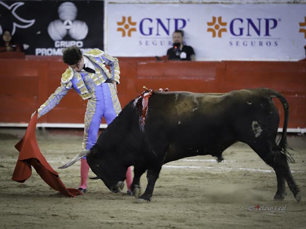 Templando por el derecho