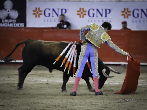 Tirando del ejemplar