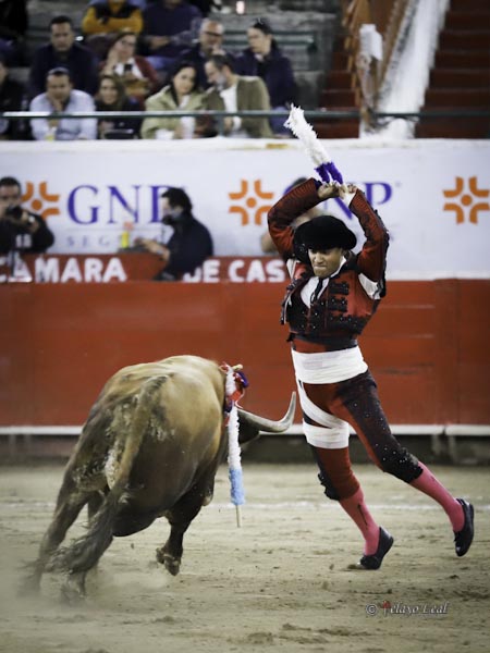 Ovacionado