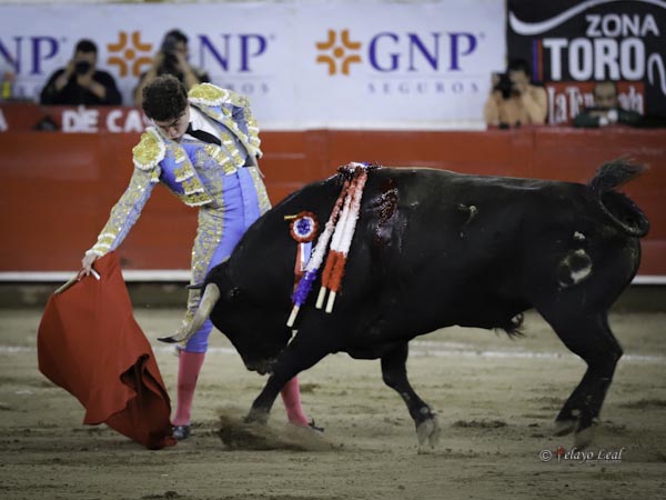 Dominio de las alturas