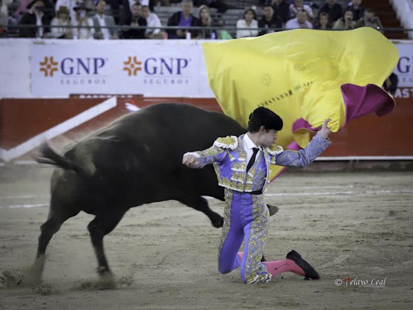 Larga en los medios