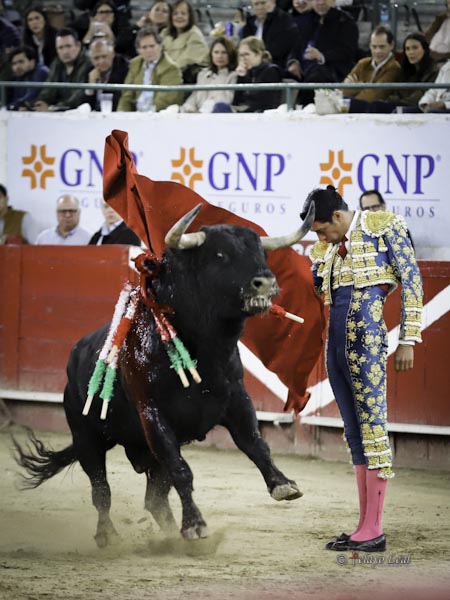 Firme, como un poste