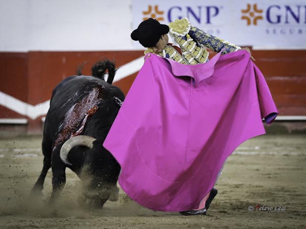 Lucido en los quites