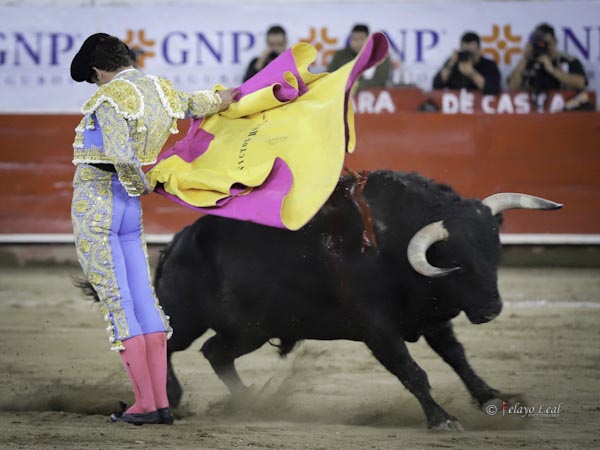 Las de Saltillo