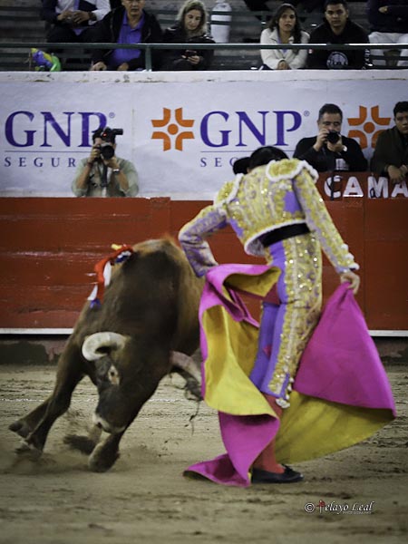 Chicuelinas de Calita