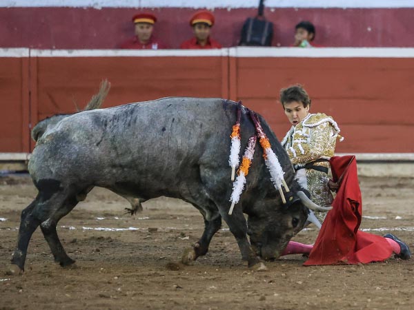La arrucina, rodilla en tierra