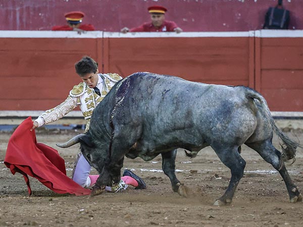 Inicio de hinojos