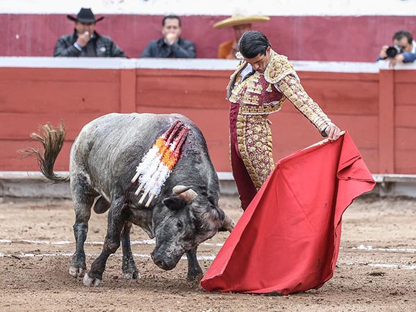 Muleta planchada