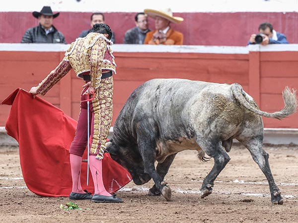 Tirando del c�rdeno