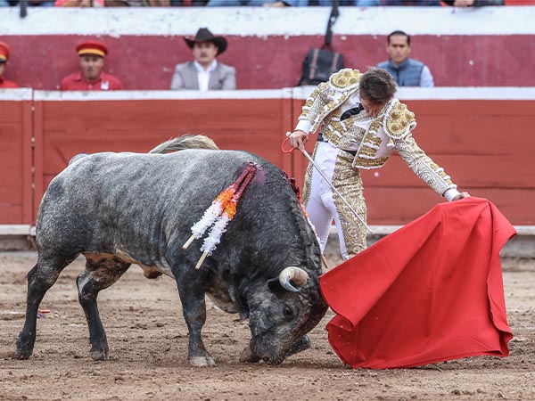 Ayudados con mando