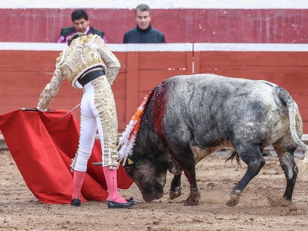 Belfos rozando la arena