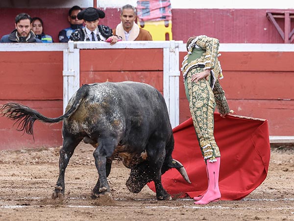 Metiendo la cara
