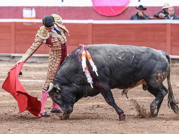 Enga�o a media altura