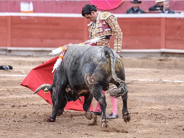 Reposo torero