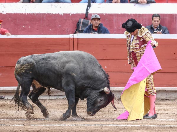 Calita a la ver�nica