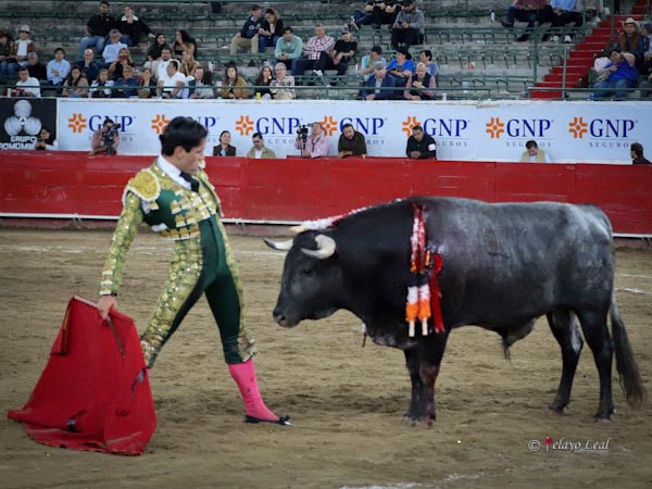 Valor torero