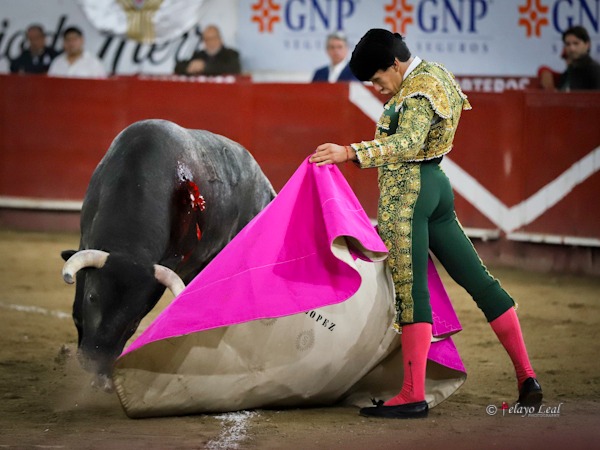 Mecidas ver�nicas