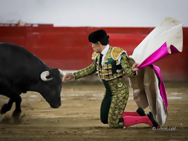 Larga en los medios