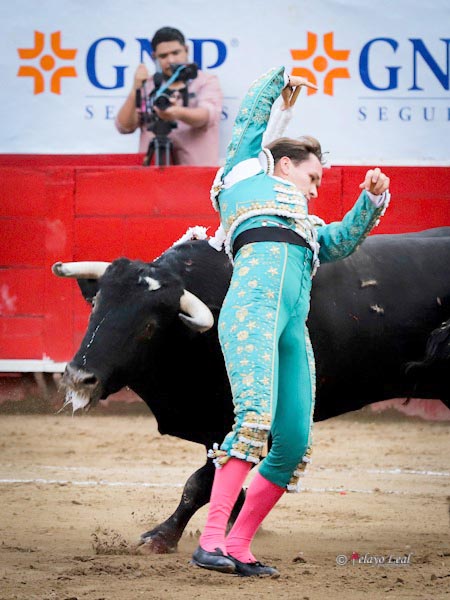 Evocando al Brujo