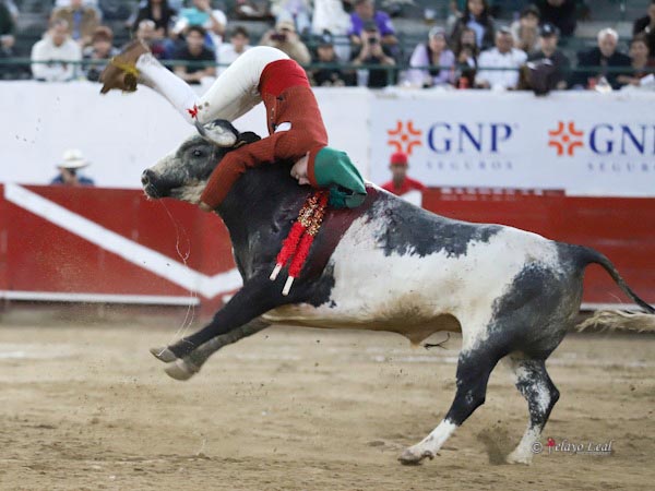 Grupo de Amadores Mexicanos