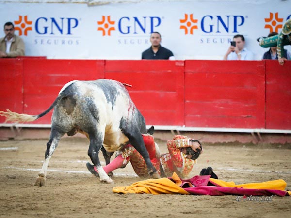 A merced del berrendo