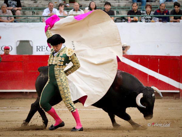 Variedad en los quites