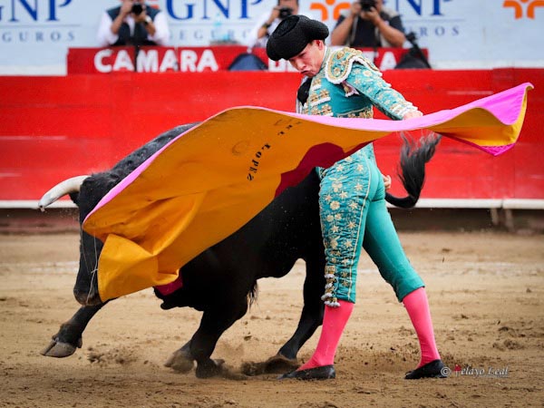 Vuelos del percal
