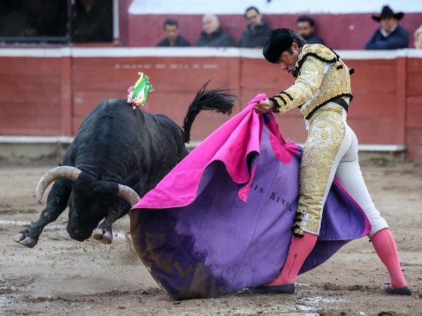 Parando al ejemplar
