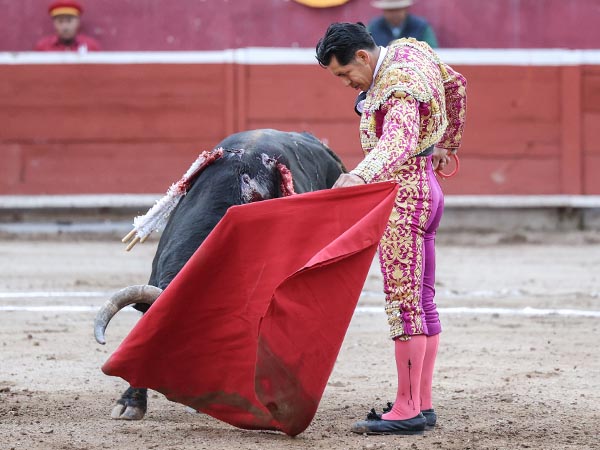 Dominio de las suertes
