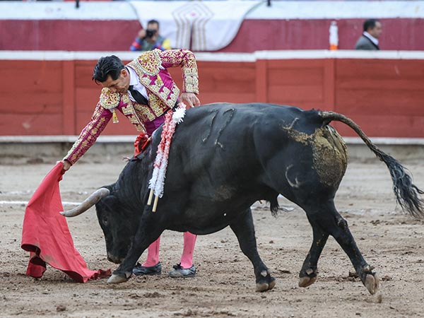 Acompa�ando