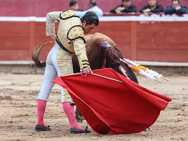 De vuelta entera