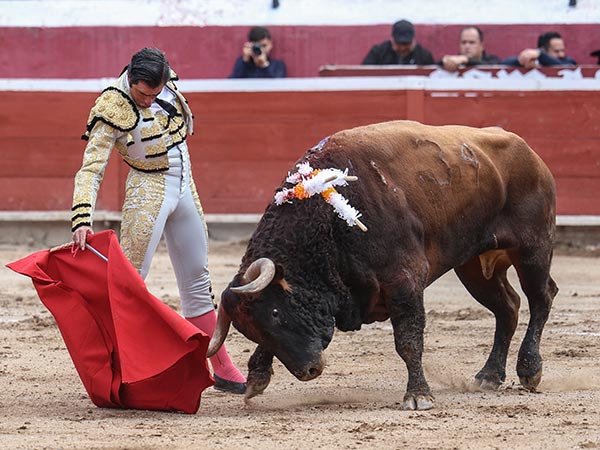 El derecho del colorado