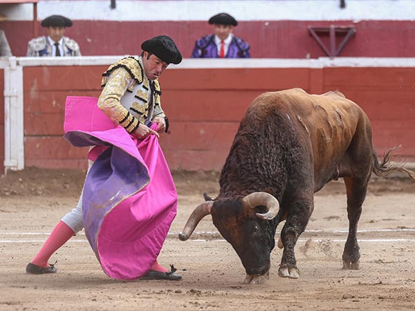 Abrochando el saludo