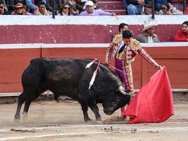 Reposo de maestro