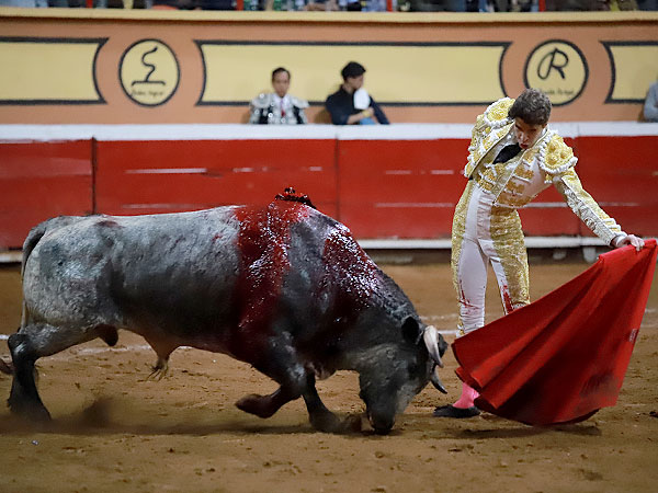 Tirando del toro