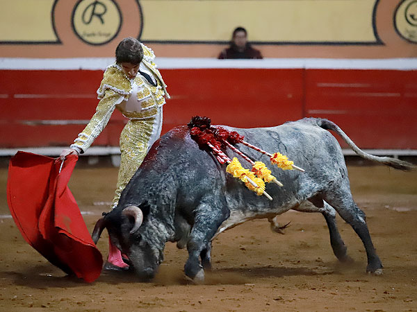 Oficio y torer�a