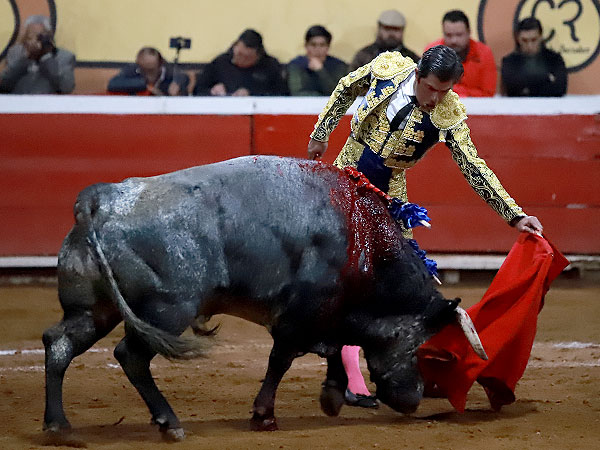 Tauromaquia depurada