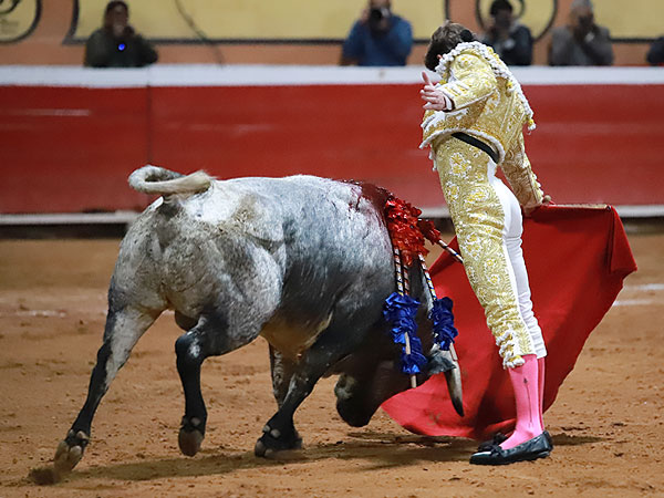 Metido en la muleta
