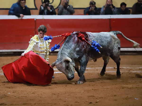 Iniciando con arte la faena