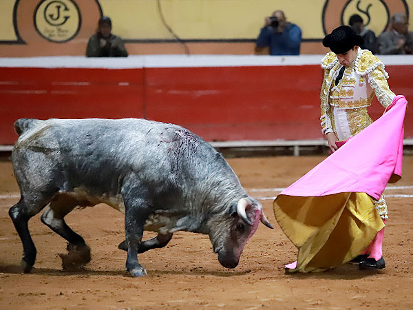Fernando Plaza